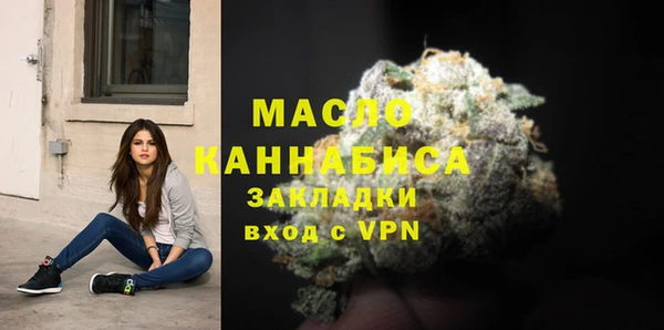 гашик Верея