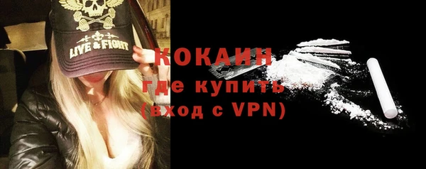 гашик Верея