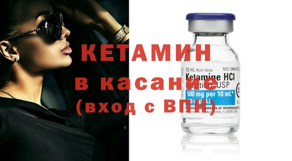 гашик Верея