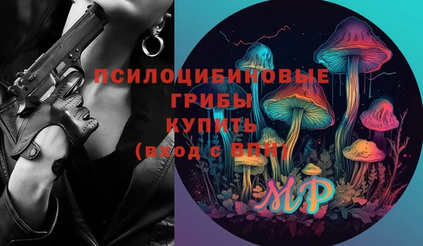 гашик Верея