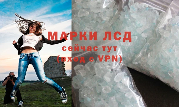 гашик Верея