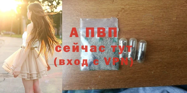гашик Верея