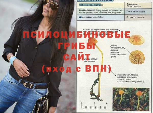 стаф Верхний Тагил