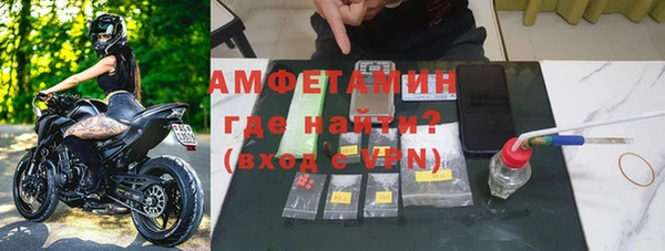 гашик Верея