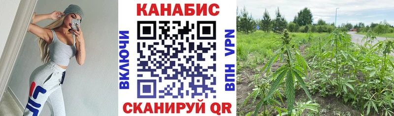 Конопля марихуана  Купить где  Майский 